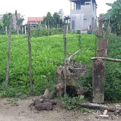 Bán lô đất ở cách chợ hà mật 200m