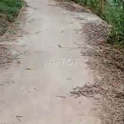 Block 2 lô Bình Trị,Thăng Bình Đất ở Giá 160 tr/l