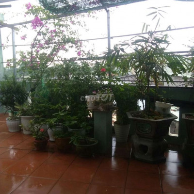 CHO THUÊ NHÀ MẶT TIỀN QUANG TRUNG THỊ TRẤN ĐẠI LỘC