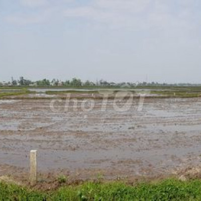 Bán lô đất vuông vức cực đẹp tại thôn Quý Mỹ