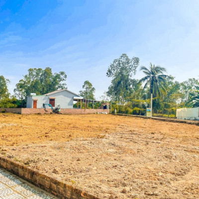 Đất đẹp, giá rẻ, chờ gì không mua