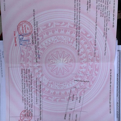 Cẩm Nam đường bê tông rộng 10,5m ô tô vi vu giá rẻ