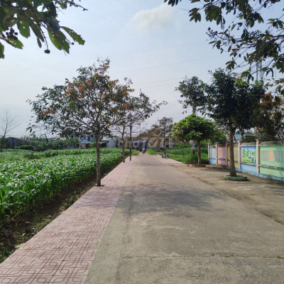 𝐊𝐇𝐔 𝐕Ự𝐂 Đ𝐈Ệ𝐍 𝐁À𝐍 - 𝐂𝐇Ỉ 𝟴𝟭𝟮 𝐓𝐑𝐈Ệ𝐔/𝐍Ề𝐍