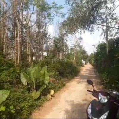 🟩5300m2 Đất ở Đô Thị, Phường An Phú