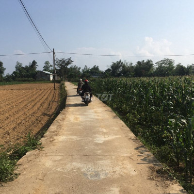chính chủ cần đi lô  đất Đại Quang giá cực rẻ