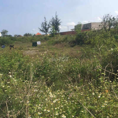 cần cho thuê hoạc bán đất diện tích lớn