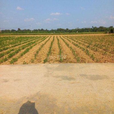 Đại Quang 160m2 full đất ở giá cực rẻ chỉ 480tr