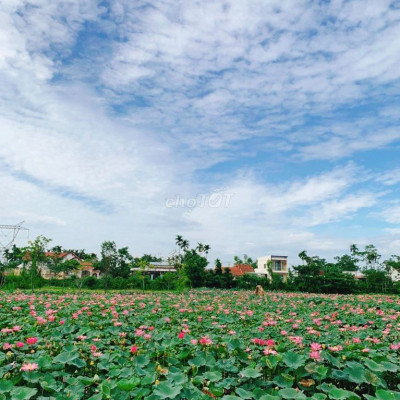 Chính chủ cần bán gấp lô đất 102 m2