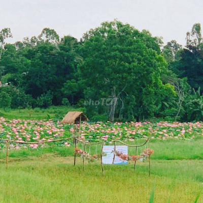 Sát đường lớn, 8 lô liền kề ven Đà Nẵng, chỉ 7xxtr