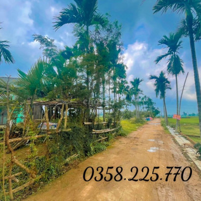 Đất Điện Hồng sát đường nhựa 609