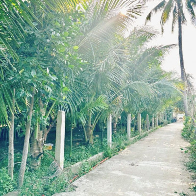 bán 2 lô liền kề  Đại Quang giá cực rẻ, cực đẹp