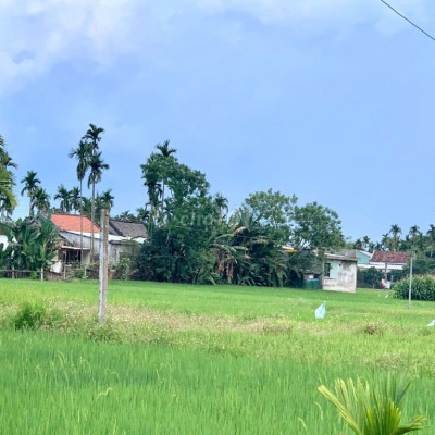 Mặt tiền *** ở Kì Lam Điện Thọ giá siêu mềm.