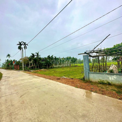 265tr(50%) sỡ hữu ngay lô đất Điện Tiến sát DT605