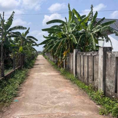 đất vườn giá rẻ đầu tư