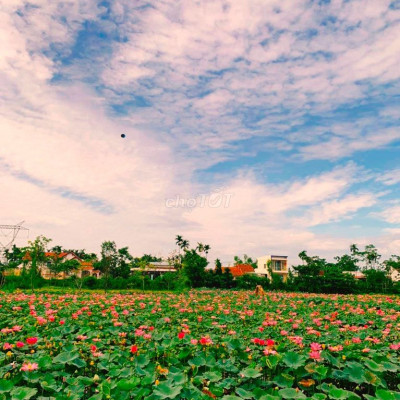 Chỉ từ 250tr bạn đã sở hữu ngay đất Điện Tiến