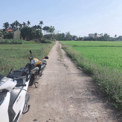 XUÂN DIỆM - ĐIỆN TIẾN GIÁ R.Ẻ NHẤT THỊ TRƯỜNG