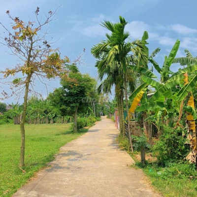 KHÔNG THỂ TIN HƠN 1000M2 ĐẤT ĐIỆN HỒNG CÓ 649tr