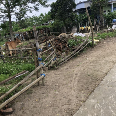 Chủ nhà cần bank 3 liền kề châu sơn điện tiến