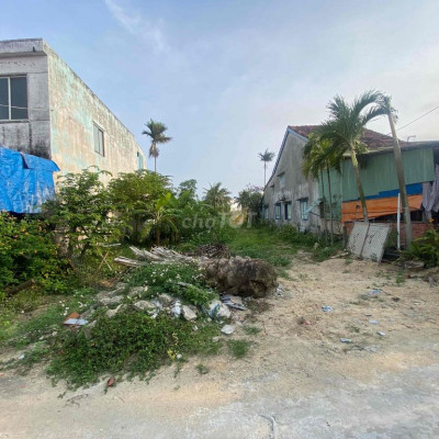 Bán Đất Rừng Dừa Bảy Mẫu- Hội An, Quảng Nam