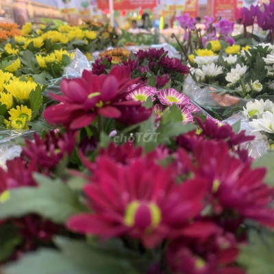 ĐẤT Ở HOÀN TOÀN ĐƯỜNG 6 ĐIỆN QUANG