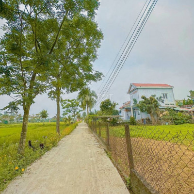 Đại Quang giá rẻ phù hợp với người bỏ phố về quê