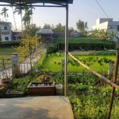 gia đình đi công tác bán lại nhà ngang 8m