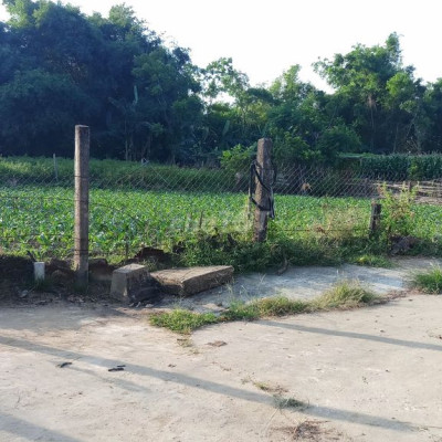 Bán lô đất đẹp, đường betong 3.5m, Ôto vào tận nơi