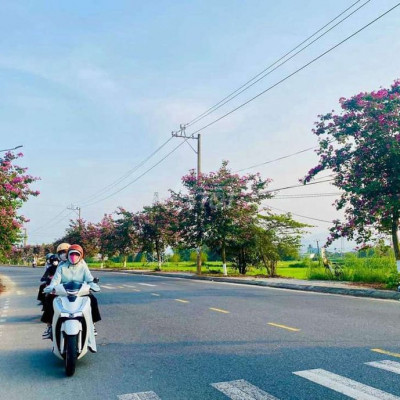 Đất sát cty dệt may Mạnh Nguyệt và trường học 590t