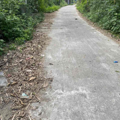 Alo Alo 123 có đấy ngay hihi