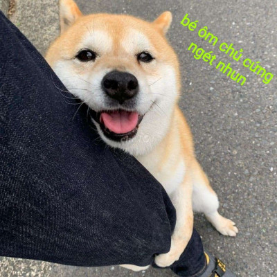 BÁN GẤP LÔ ĐIỆN HỒNG GIÁ KHÔNG ĐÂU R.Ẻ BẰNG