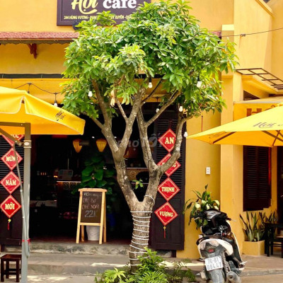 Đất Nền Ven Đà Nẵng, Giáp Hội An. Gần khu Phố Chợ.