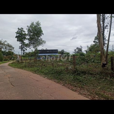 Đất thổ cư sổ hồng 200m2(6,3x34) Duy Hoà,Duy Xuyên