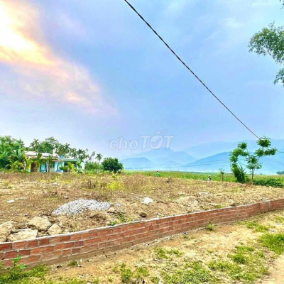 Cần Ra Nhanh 112m2 full Thổ Cư Đất Đại Lộc