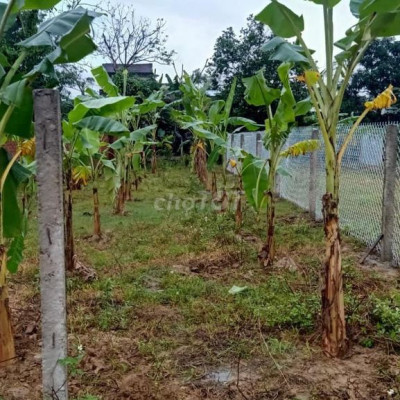 Nhanh Nhanh Lô *** Bán Lô 599 Triệu Điện Tiến