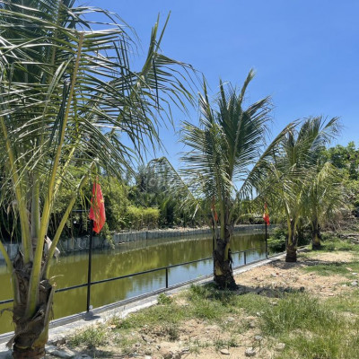 Bán đất chính chủ - Hội An 706m2