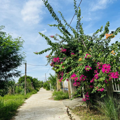 Lô Đất Điện Hồng TT 280 Triệu ,Trả Góp 0 lãi xuất