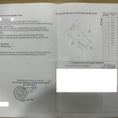 Đất đẹp 2.5ha Bình Hải, Thăng Bình, Quảng Nam