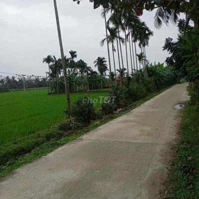 đất DT lớn xã Tam Xuân 2. Núi Thành. Sát quốc lộ