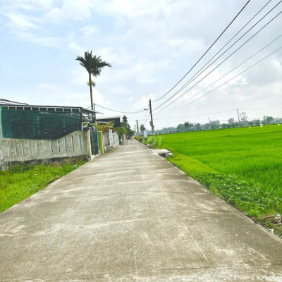 Điện Hồng giáp chợ lạc Thành góc 2 mặt đường 560TR