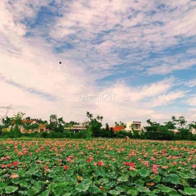 1 lô *** đối diện Hồ Sen, sát vách Đà Nẵng