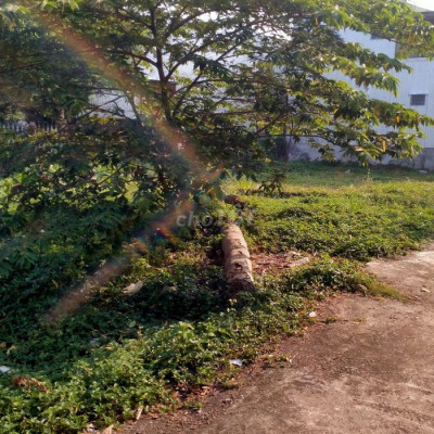 Chính chủ cần đi lô đất Hòa Tiến 120m2