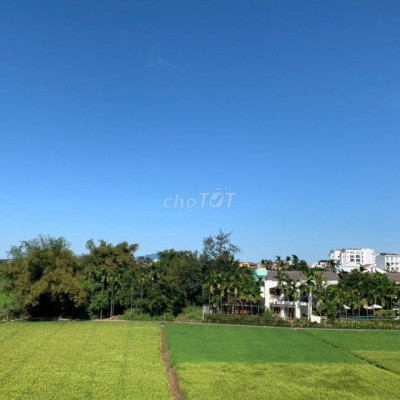 Chính chủ cần đi lô đất hồ sen  giá cực rẻ