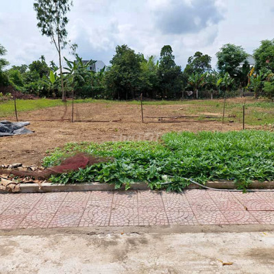 Giá rẻ Điện Tiến Gần Sinh Thái Bồ Bồ