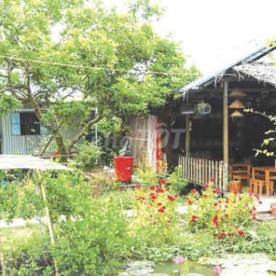 can thue nhà có vườn cây mát mẻ co vew sông vew lu