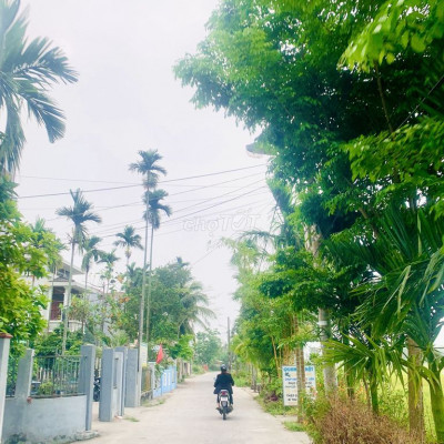 Chính chủ bán lô  nhà vườn 221m2 bao sổ