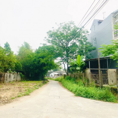 bán lô Hồ Sen - Điện Tiến giá siêu rẻ, siêu đẹp