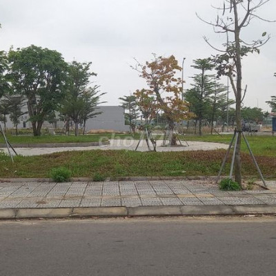 Đất nền cạnh siêu thị Go-Trung tâm TX Điện Bàn