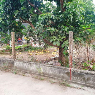 Hàng hiếm La Thọ 2 ngang 6m ngay KCN