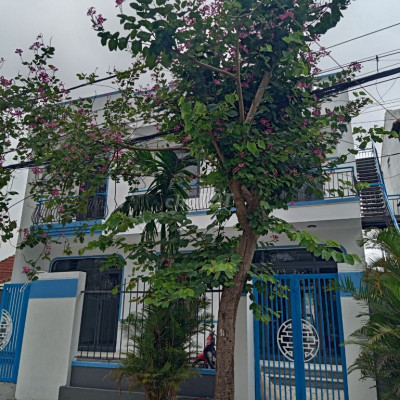 Nhà mới 250m2 Tân an Hội an