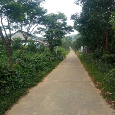 bán đất vườn 5000m2 tặng nhà cấp bốn  phú Ninh